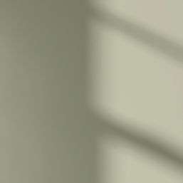 LickPro Max+ 1Ltr Green BS 12 B 21 Matt Emulsion  Paint