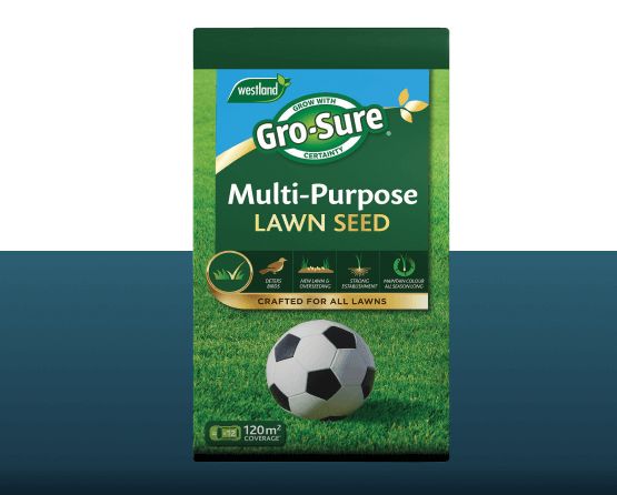 Lawn Seed & Fertiliser