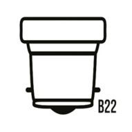B22 Light Fitting