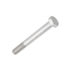 Stainless Steel Bolts