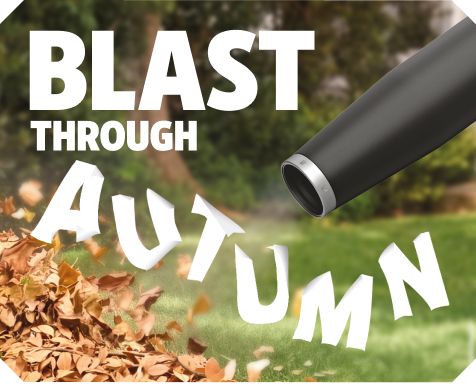 Blast Through Autumn! Shop Now