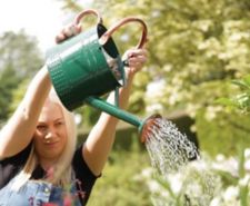 Image for Watering Cans category tile