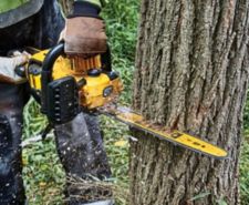 Image for Chainsaws category tile