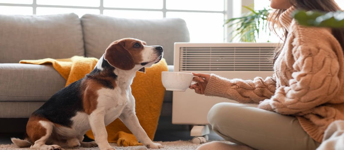Image of a Electric Radiator