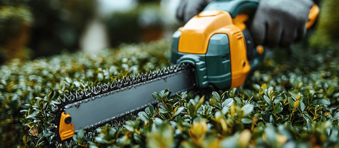 Learn how to sharpen hedge trimmer blades effectively. Restore cutting power with our step-by-step guide using a hand file.