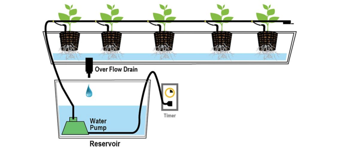 Drip Irrigation System Diagram
