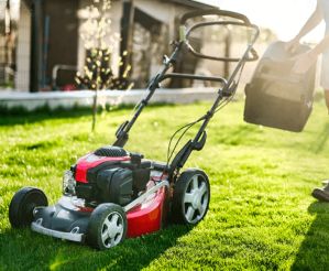 Outdoor & Garden Guides