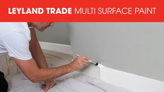 View All Leyland Trade Multi Surface Paint