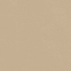 View all Beige 07 - Paint