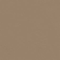 View all Beige 08 - Paint