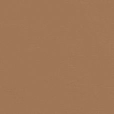 View all Brown 02 - Paint