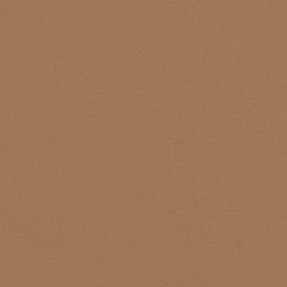 Brown 02 - Paint