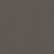 View all Brown 03 - Paint