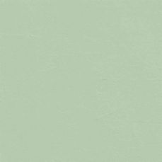 View all Green 13 - Paint