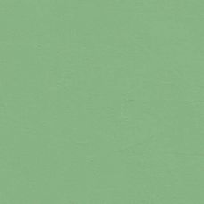 View all Green 16 - Paint