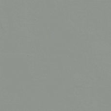 View all Grey 06 - Paint