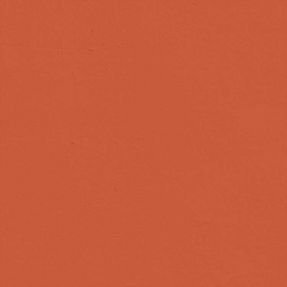 Orange 01 - Paint