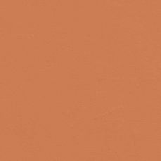 View all Orange 04 - Paint