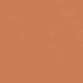 Orange 04 - Paint