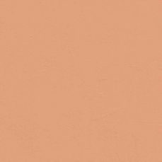 View all Orange 05 - Paint