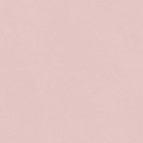 LickPro Pink | Lick Pink Paint | Screwfix