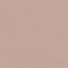 View all Pink 08 - Paint