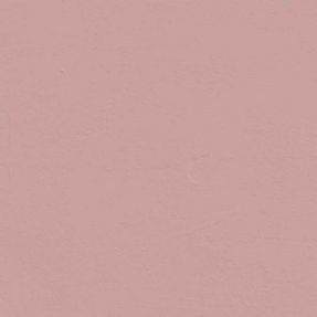 LickPro Pink | Lick Pink Paint | Screwfix