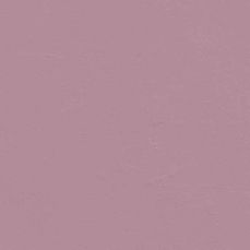 View all Pink 10 - Paint