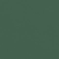 View all BS 14 C39 - Paint