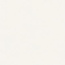 View all White 01 - Paint