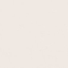 View all White 06 - Paint