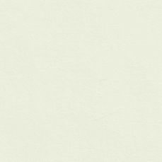 View all White 11 - Paint