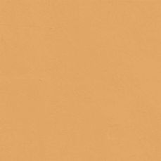 View all Yellow 02 - Paint