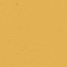 View all Yellow 03 - Paint