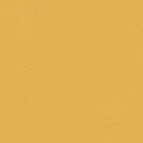 Yellow 03 - Paint