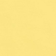 View all Yellow 06 - Paint