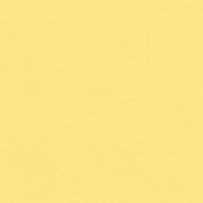 Yellow 06 - Paint