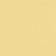 View all Yellow 08 - Paint