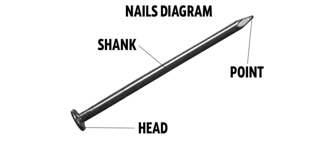 Parts of a Nail  Explained