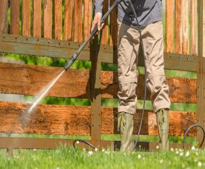 Auto & Cleaning Guides