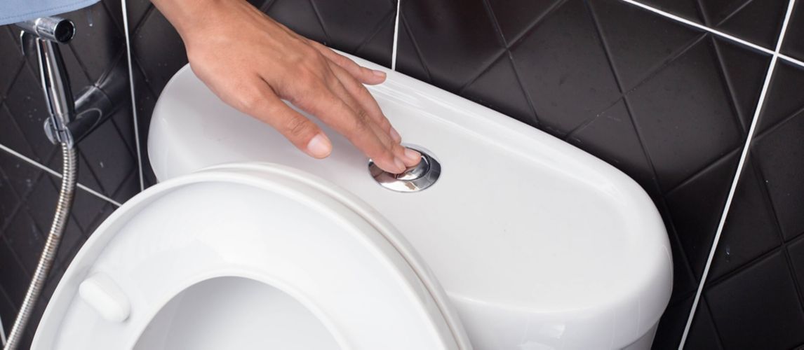 Image of a Push Flush Toilet