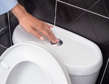 Image of a Push Flush Toilet