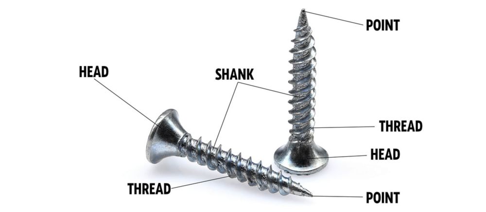 What Are the Different Types of Screw?