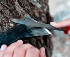 A man sharpening an axe with a file.