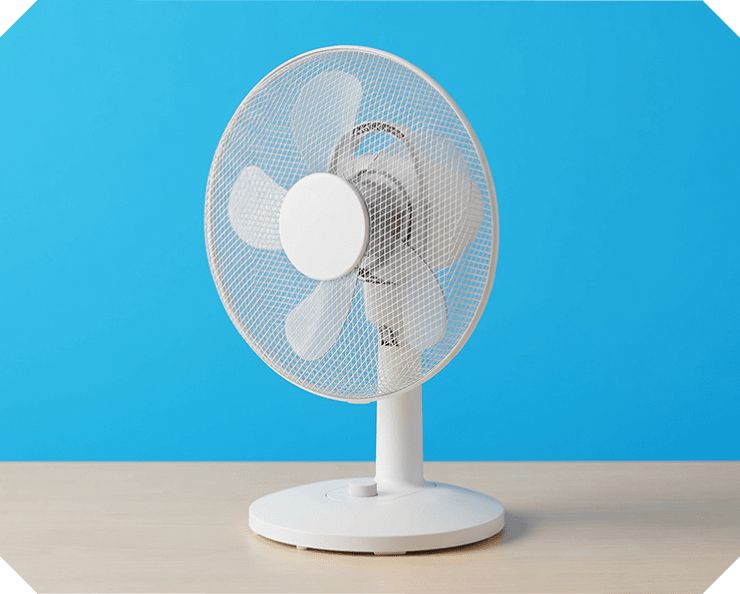 Shop Fans