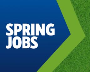 Spring Jobs