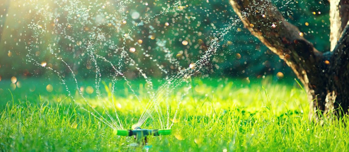 Image of garden sprinkler system