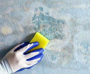 person with sponge using sugar soap brushing