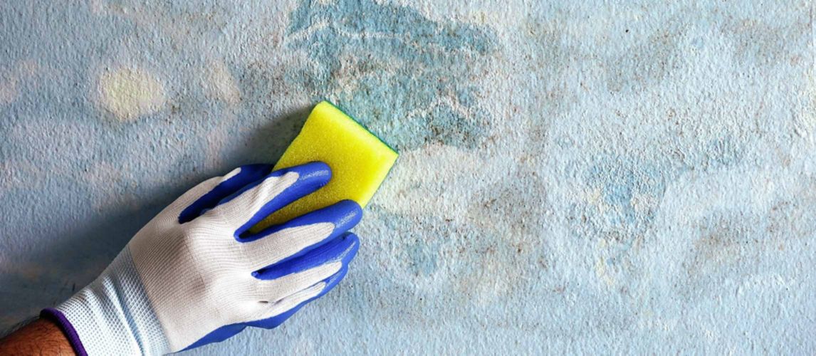 person wearing glove using sugar soap on sponge
