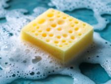 person with sponge using sugar soap brushing